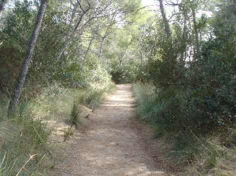 parco naturale albufera d'es grau minorca parco naturale albufera d'es grau minorca